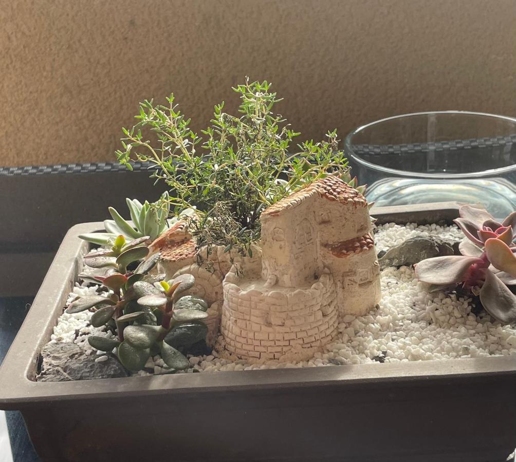 דירות סווילאק Le Lotois Les Ondines מראה חיצוני תמונה